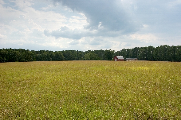 Observing field